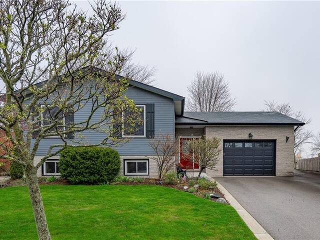 294 Morrison Drive Caledonia