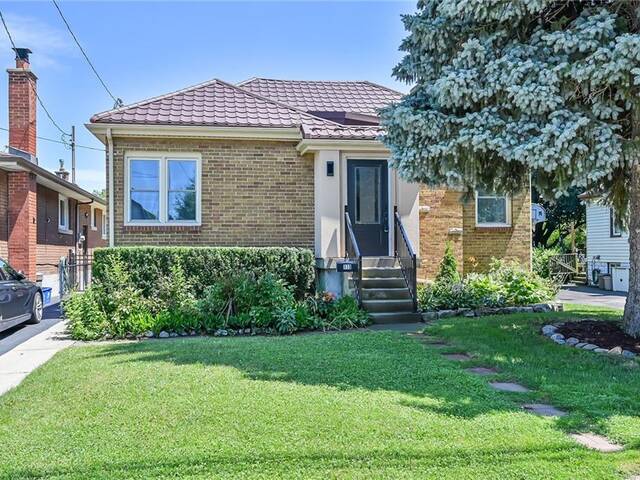 113 Ewen Road Hamilton